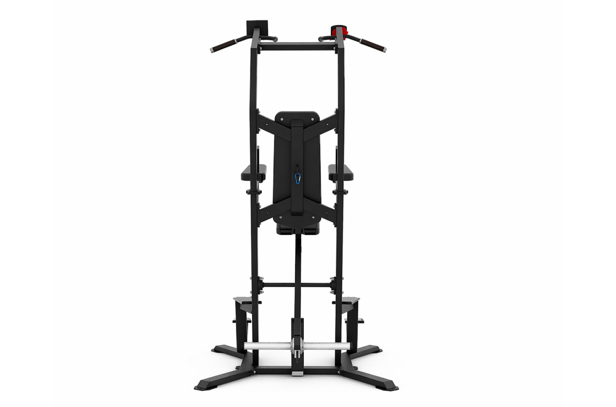 VB 220-04 Combined rack (with unloading)-assisted chin/dip.