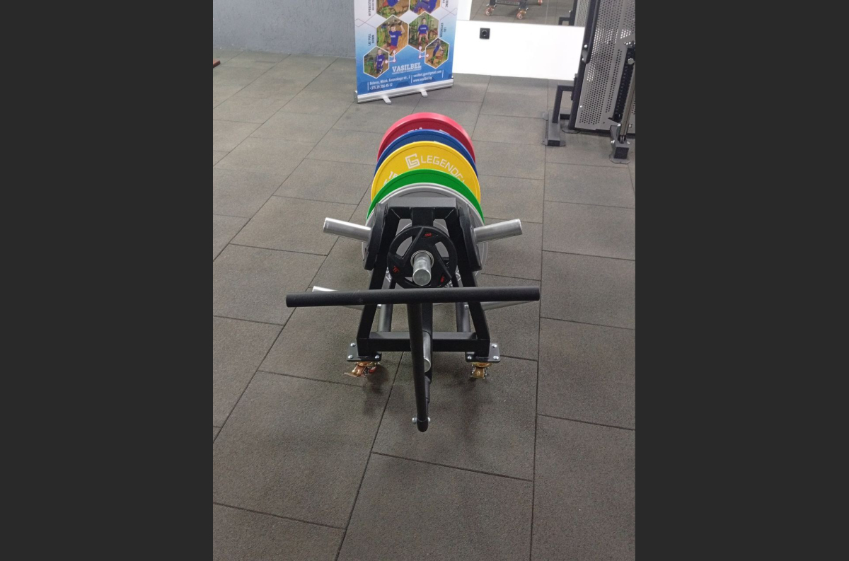 VB 216-03 Discs trolley