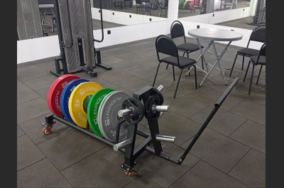 VB 216-03 Discs trolley