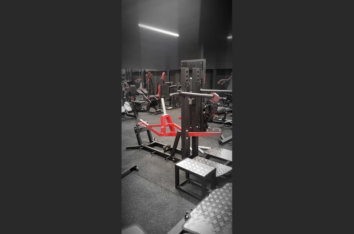 VB 115 Belt squat and dips (2in1)