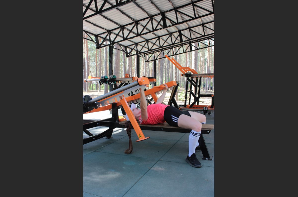 SG 601 Outdoor Bench press / Dip press