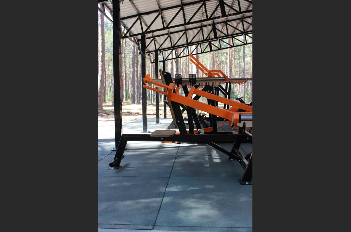 SG 601 Outdoor Bench press / Dip press