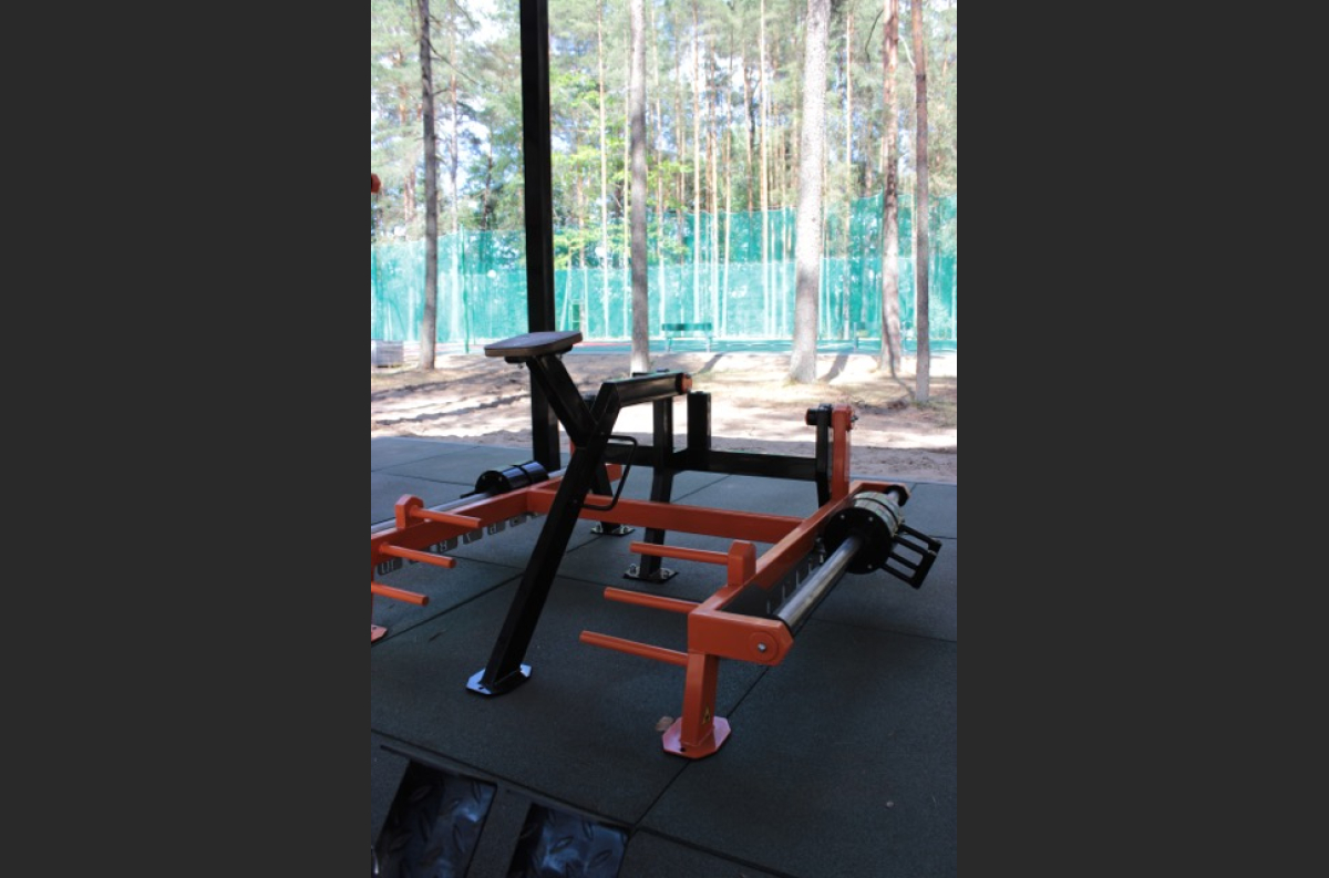 SG 603 Outdoor Deadlift / Bent-over row