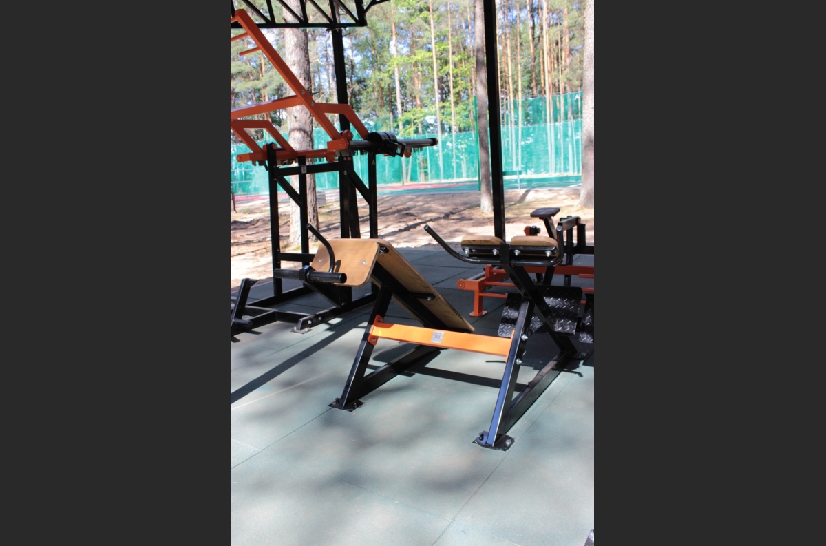 SG 605 Ab crunch easy bench / Back extension