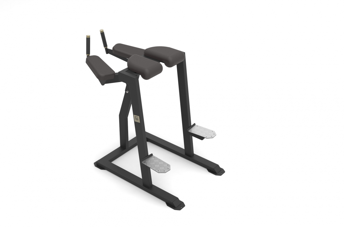 VB 209 Reverse hyperextension