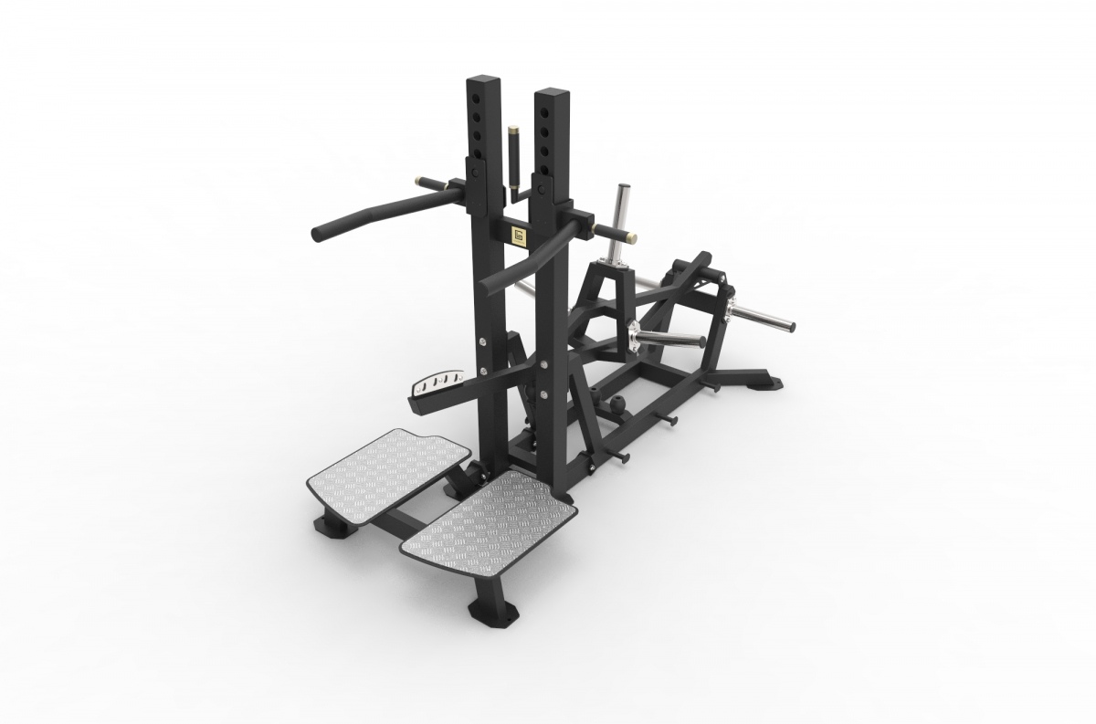 VB 115 Belt squat and dips (2in1)