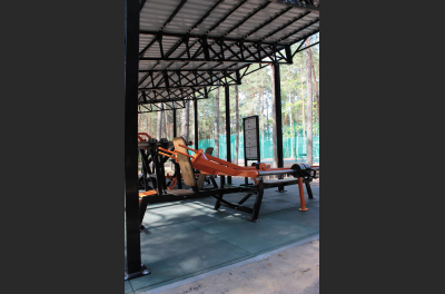 SG 601 Outdoor Bench press / Dip press