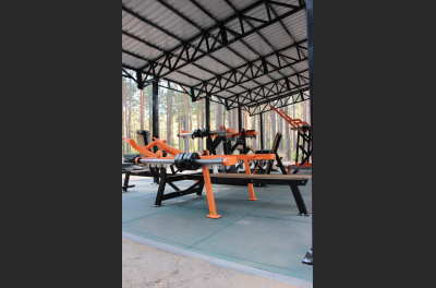 SG 601 Outdoor Bench press / Dip press