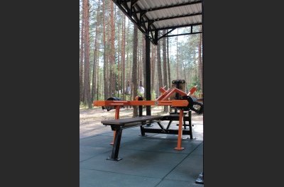 SG 601 Outdoor Bench press / Dip press