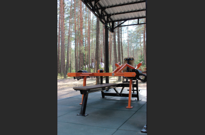 SG 601 Outdoor Bench press / Dip press