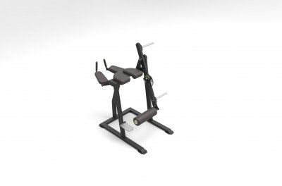VB 109 Reverse hyperextension with weights
