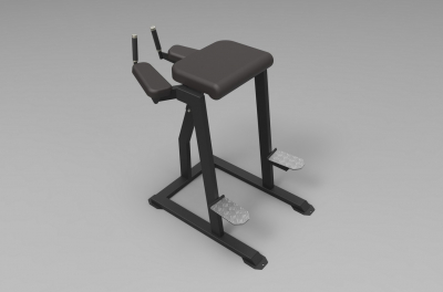 VB 209 Reverse hyperextension