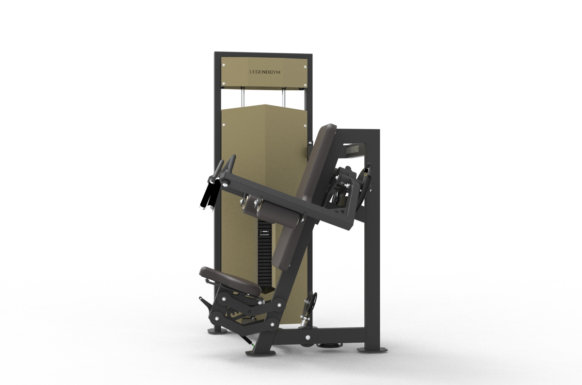 VB 309 Lateral raise machine