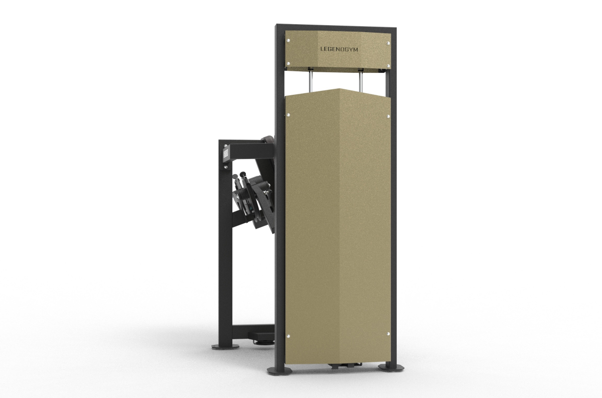 VB 309 Lateral raise machine