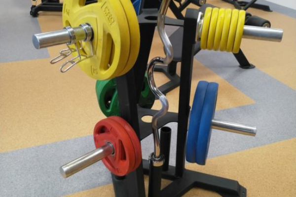 VB-221-Стойка-для-дисков-Weight-plate-tree-552x736