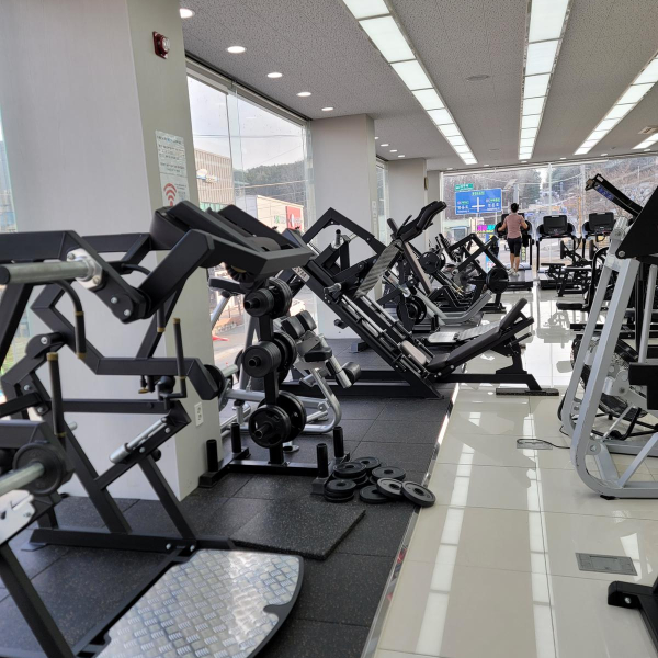 cиловые тренажёры LEGENDGYM в Blise Gym (Южная Корея)