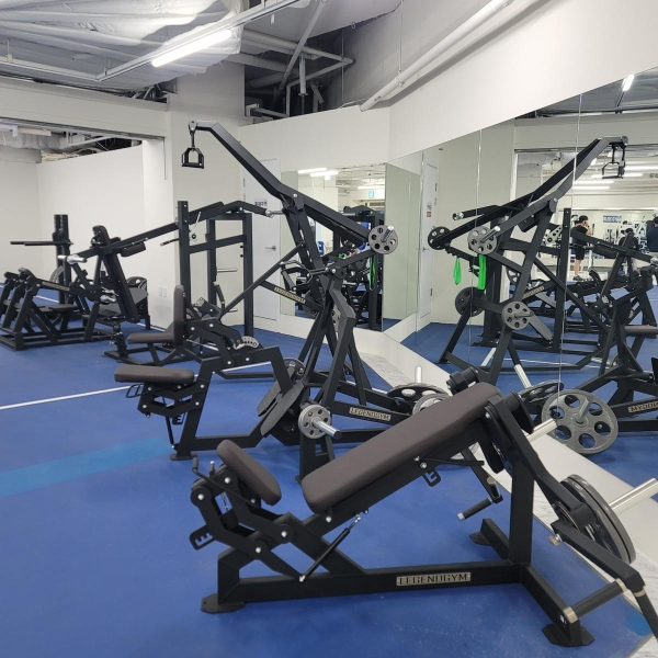 силовая зона Blise Gym с тренажерами LEGENDGYM