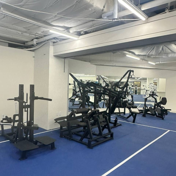 силовые тренажеры LEGENDGYM в Blise Gym Южная Корея