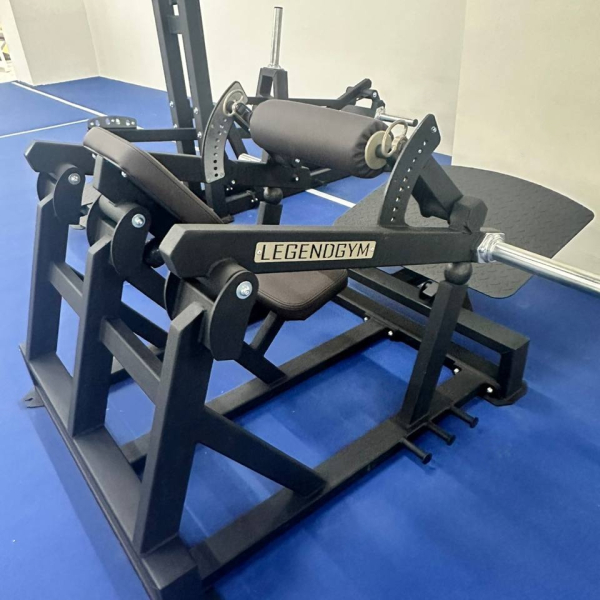 силовая зона Blise Gym с тренажерами LEGENDGYM