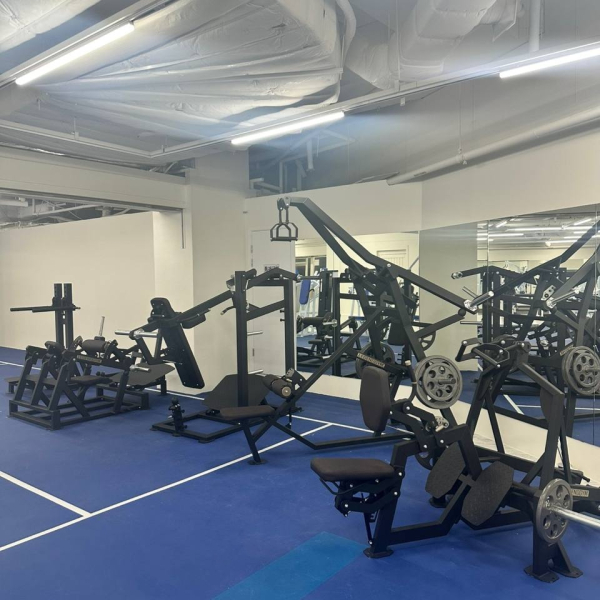 силовая зона Blise Gym с тренажерами LEGENDGYM