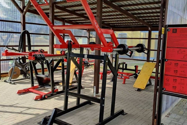 multigrip SG 602 Pull down,  Shoulder press